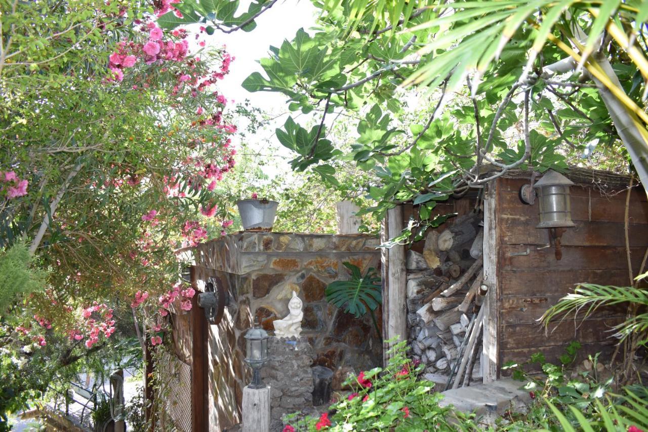 San Bartolomé Romantica المظهر الخارجي الصورة