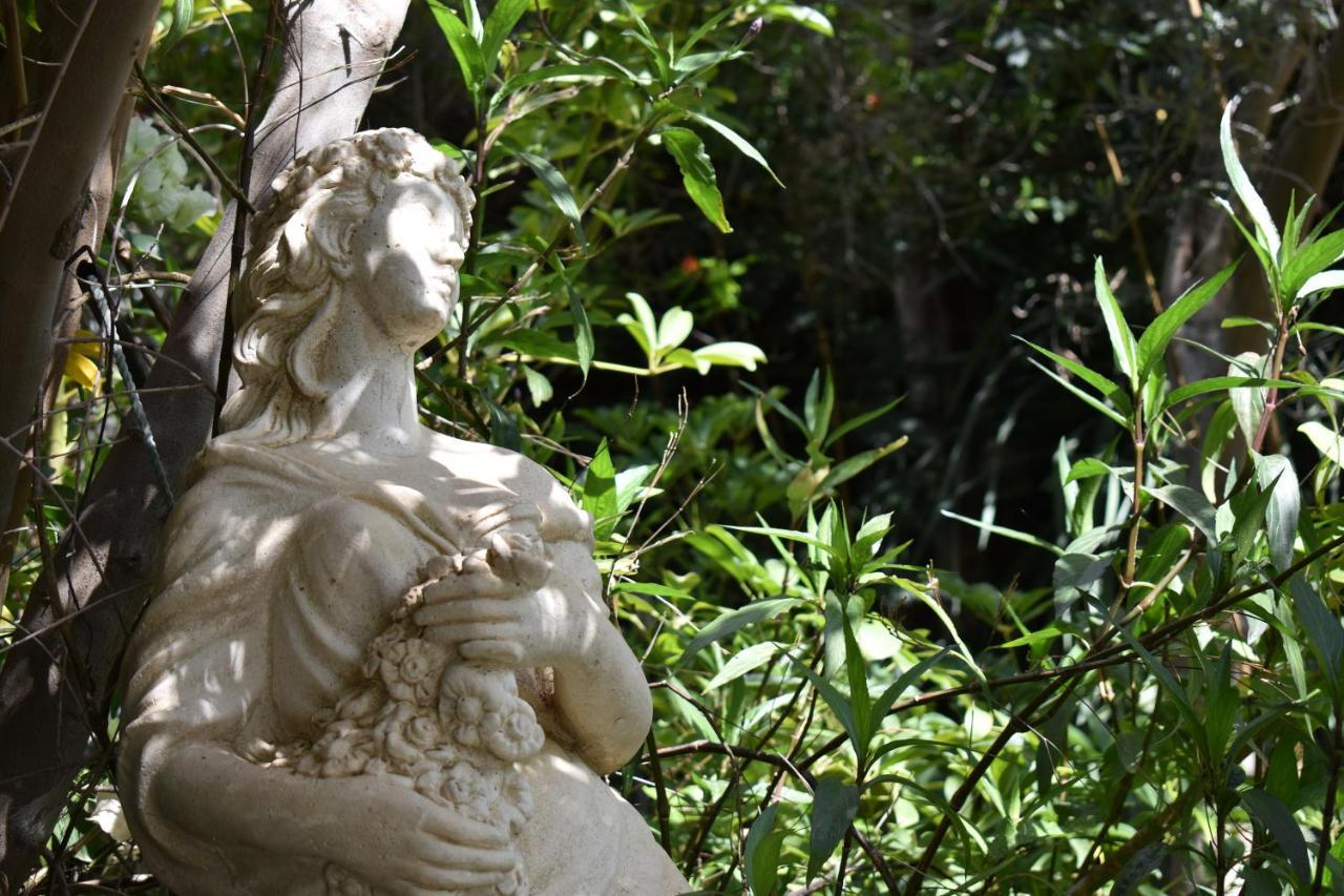 San Bartolomé Romantica المظهر الخارجي الصورة