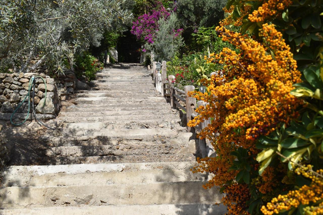 San Bartolomé Romantica المظهر الخارجي الصورة