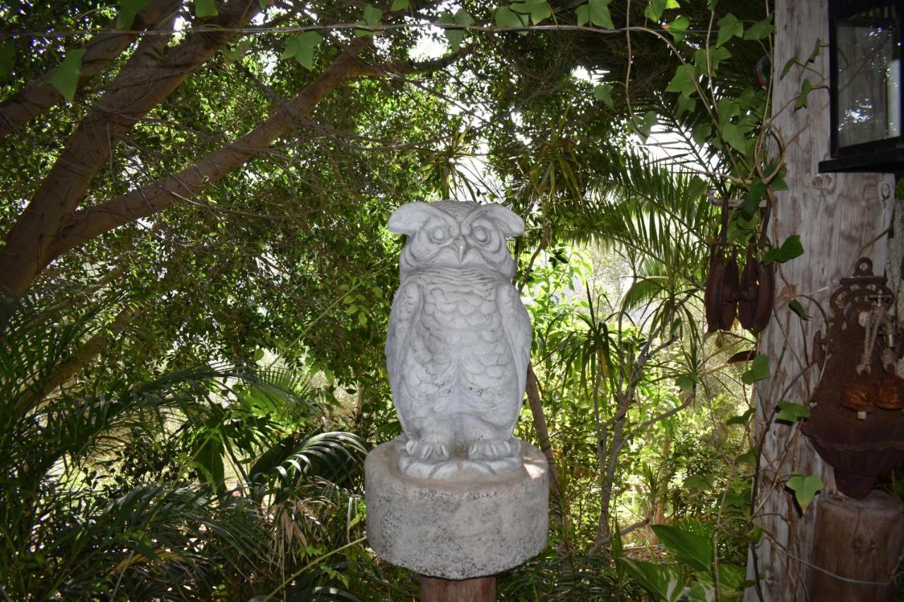 San Bartolomé Romantica المظهر الخارجي الصورة